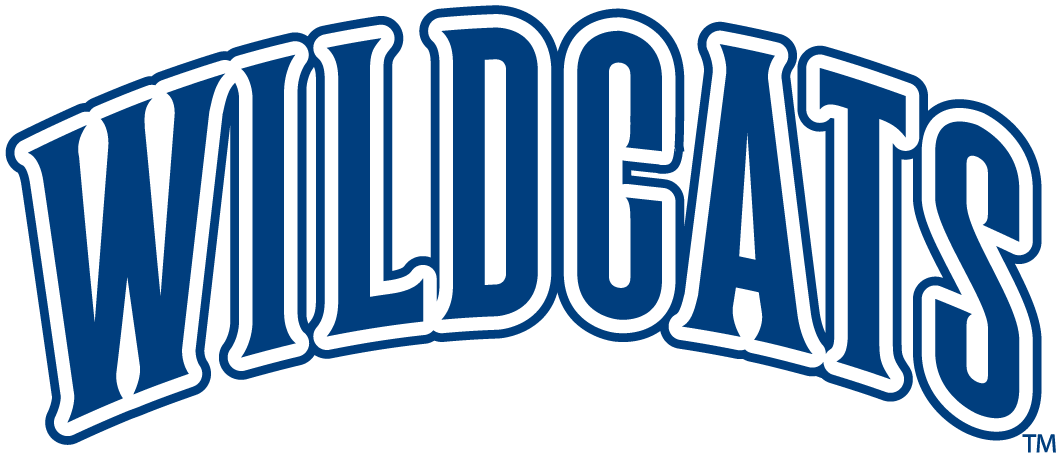 Villanova Wildcats 1996-Pres Wordmark Logo iron on transfers for T-shirts